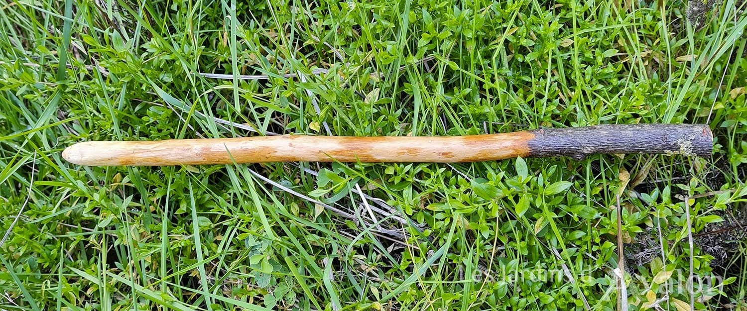 Baguette magique bois et plume "Protection"