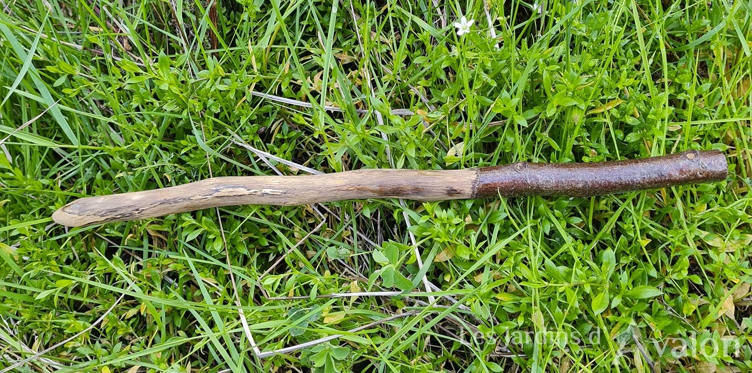 Baguette magique bois et plume "Renaissance"