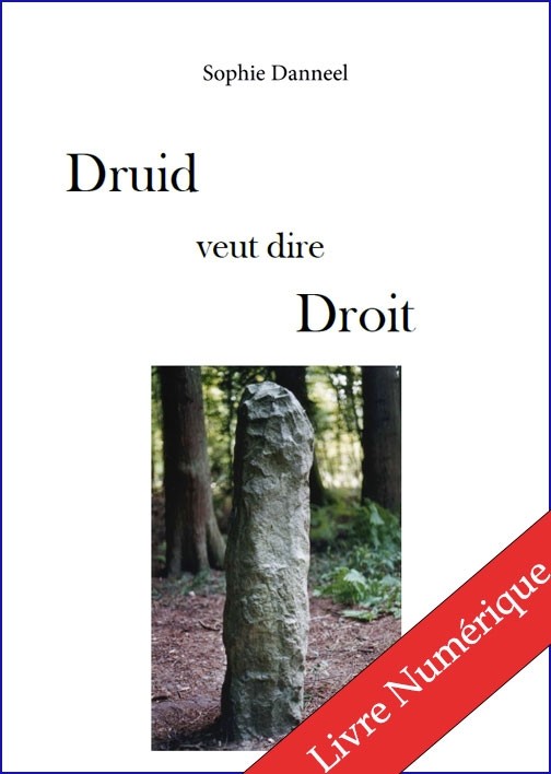 Druid veut dire droit, de Sophie Danneel - E-BOOK