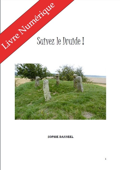 Suivez le Druide, de Sophie Danneel - E-BOOK