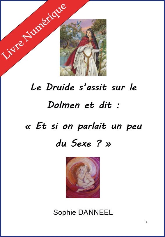 Le Druide s'assit sur le Dolmen et dit "Et si on parlait un peu de sexe ?", de Sophie Danneel - E-BOOK