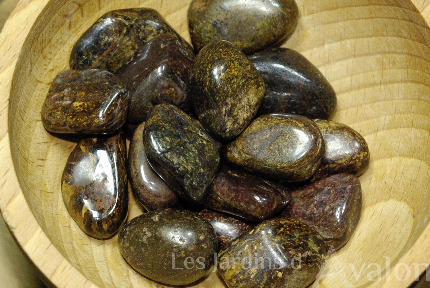 Bronzite