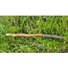 Baguette magique bois et plume "Sagesse"