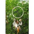 Dreamcatcher 20 cm