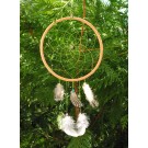 Dreamcatcher 20 cm