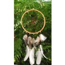 Dreamcatcher 20 cm