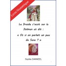 Le Druide s'assit sur le Dolmen et dit "Et si on parlait un peu de sexe ?", de Sophie Danneel - E-BOOK