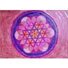 Fleur de Vie - Petit format A5